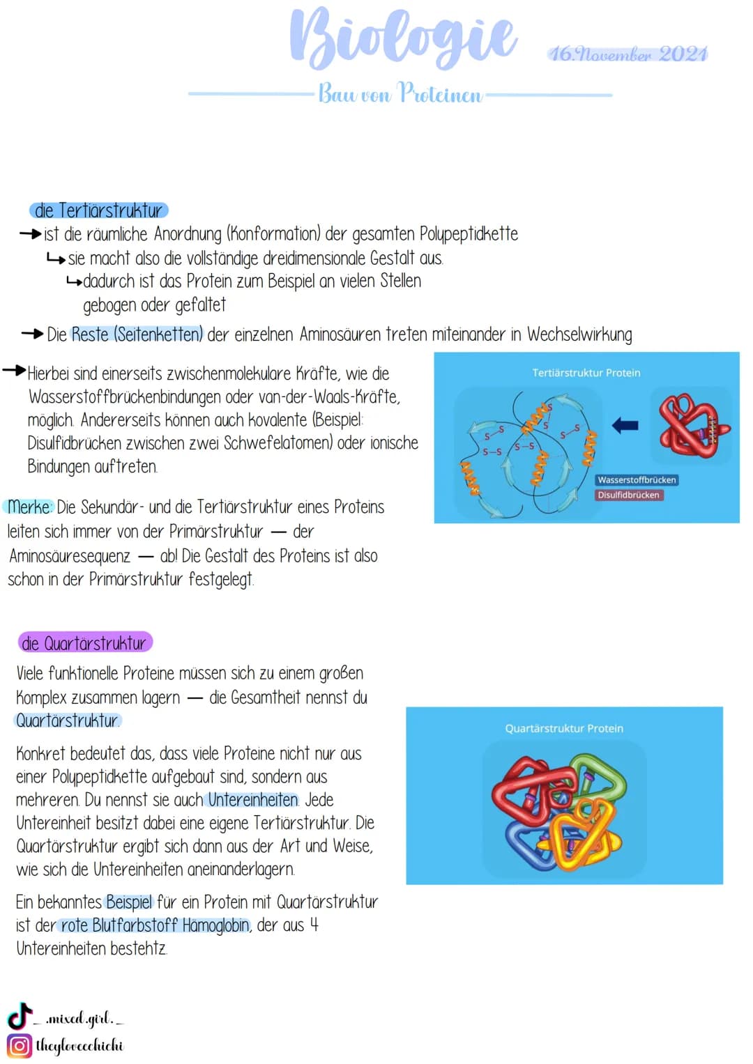 Biologie
· Bau von Enzymen
Was sind Enzyme?
Enzyme sind biologische Riesenmoleküle, wobei die meisten Enzyme Proteine (komplexe Eiweißmolekü