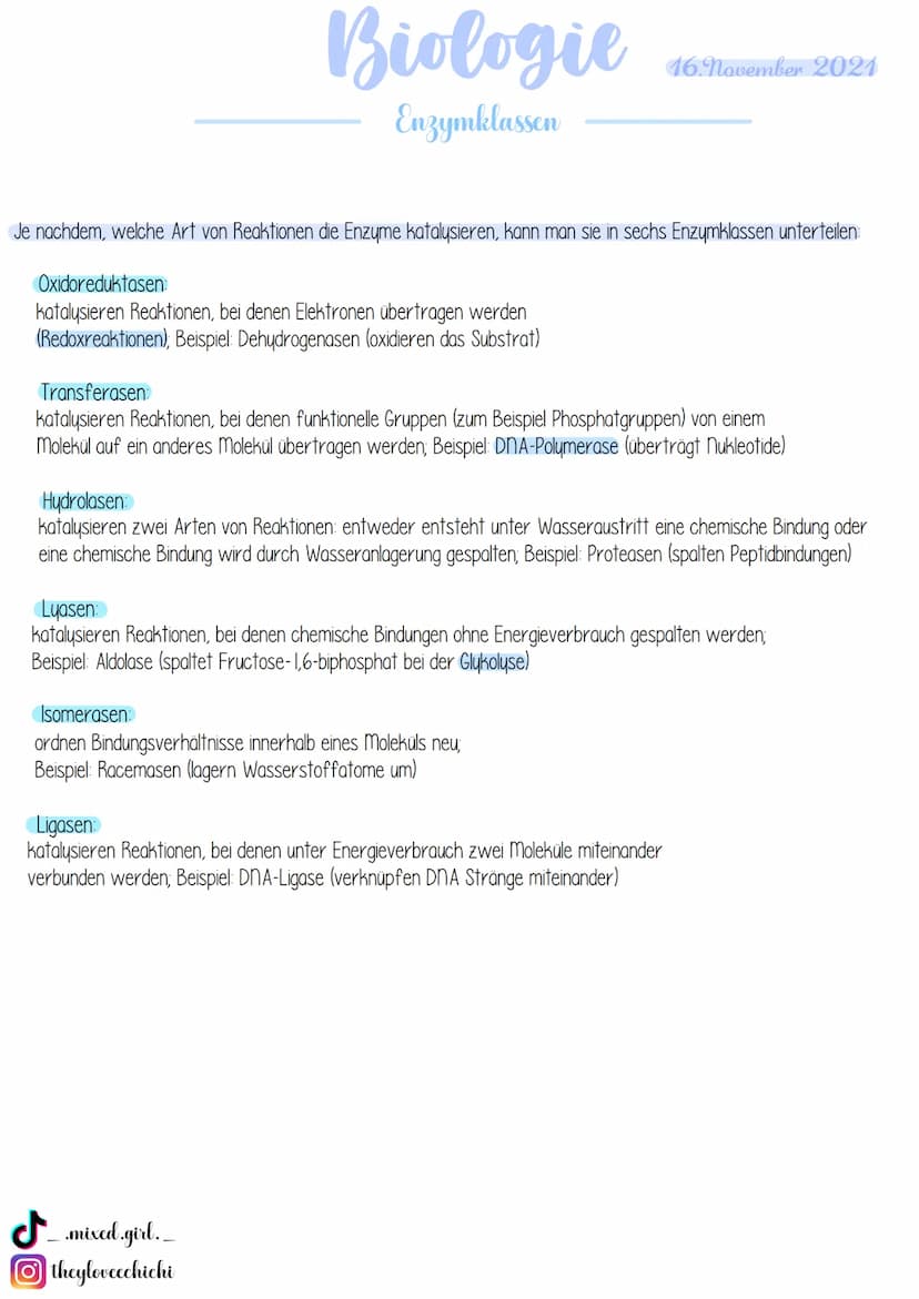 Biologie
· Bau von Enzymen
Was sind Enzyme?
Enzyme sind biologische Riesenmoleküle, wobei die meisten Enzyme Proteine (komplexe Eiweißmolekü