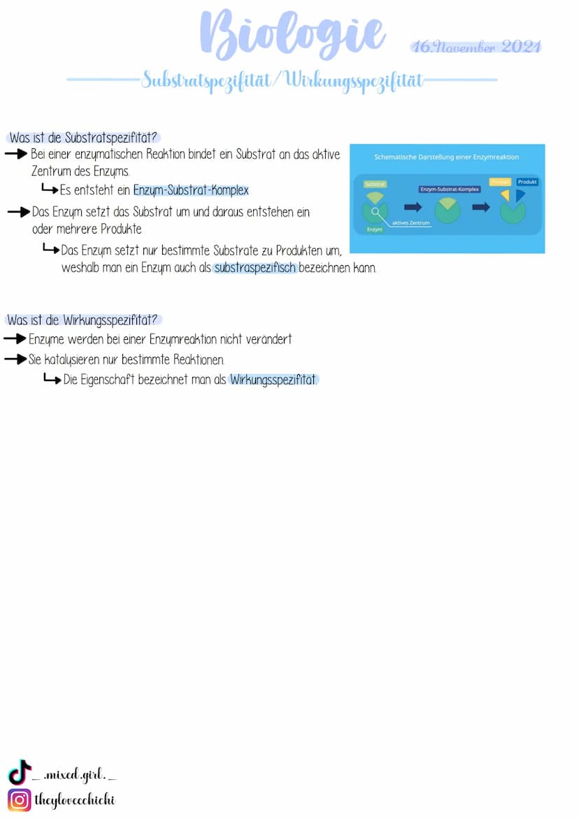 Biologie
· Bau von Enzymen
Was sind Enzyme?
Enzyme sind biologische Riesenmoleküle, wobei die meisten Enzyme Proteine (komplexe Eiweißmolekü