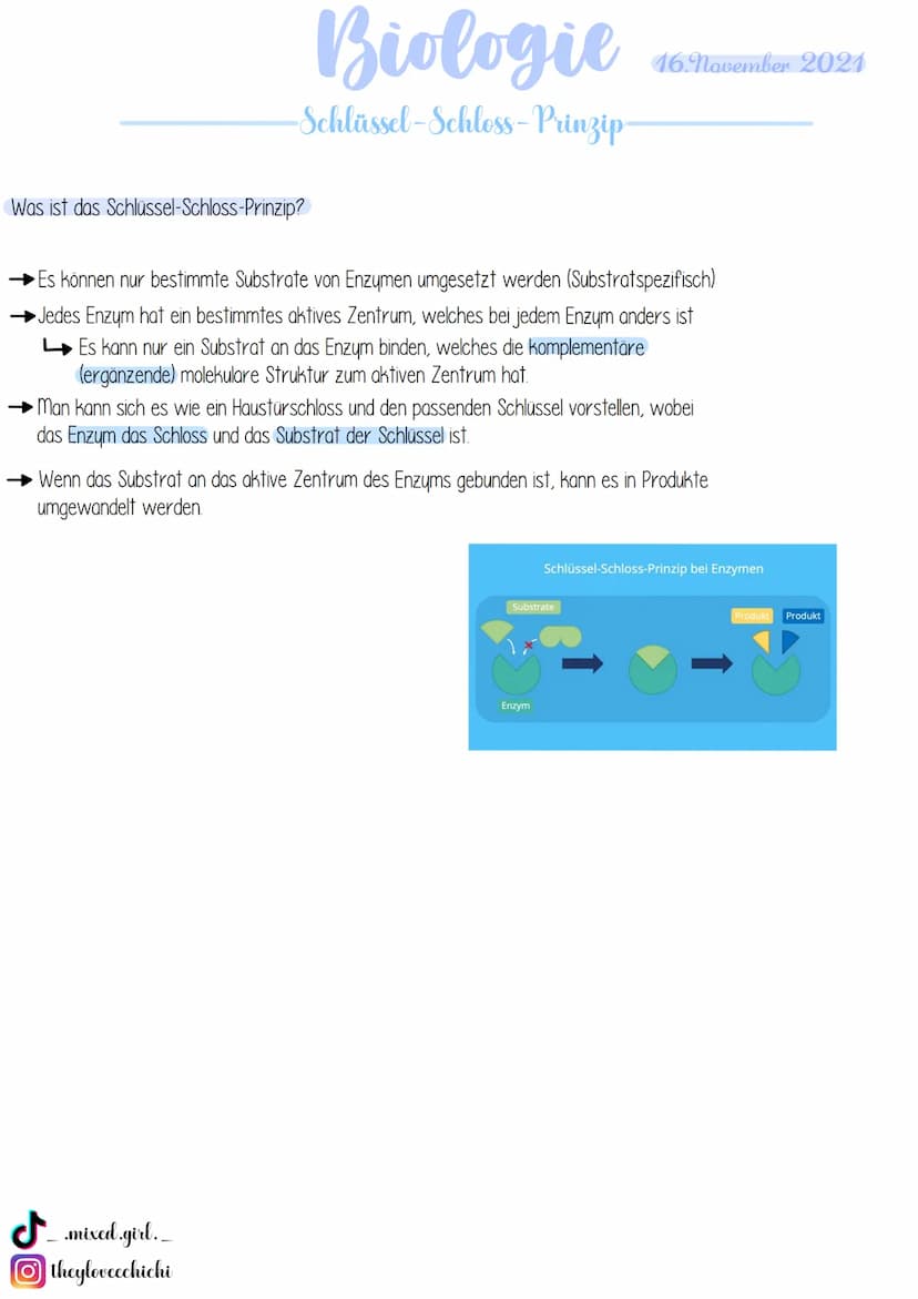 Biologie
· Bau von Enzymen
Was sind Enzyme?
Enzyme sind biologische Riesenmoleküle, wobei die meisten Enzyme Proteine (komplexe Eiweißmolekü