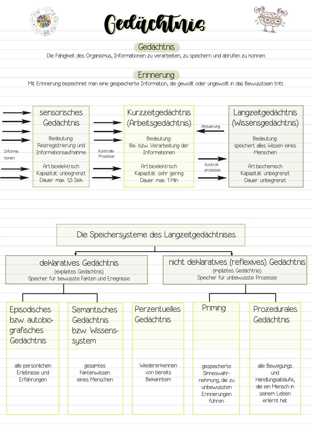 # Gedächtnis

Gedächtnis

Die Fähigkeit des Organismus, Informationen zu verarbeiten, zu speichern und abrufen zu können.

Erinnerung

Mit E