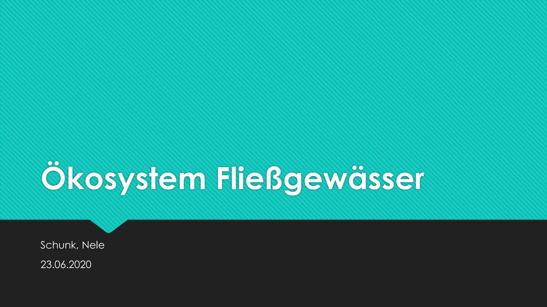 Ökosystem Fließgewässer
Schunk, Nele
23.06.2020 Nele Schunk
●
Gliederung eines Fließgewässers:
Abschnitte bezeichnet man nach Leitfischarten