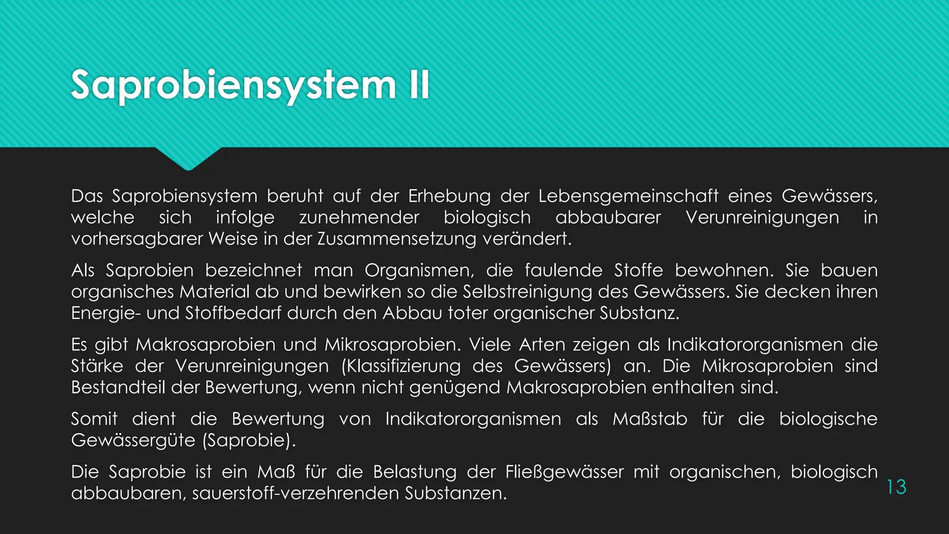 Ökosystem Fließgewässer
Schunk, Nele
23.06.2020 Nele Schunk
●
Gliederung eines Fließgewässers:
Abschnitte bezeichnet man nach Leitfischarten