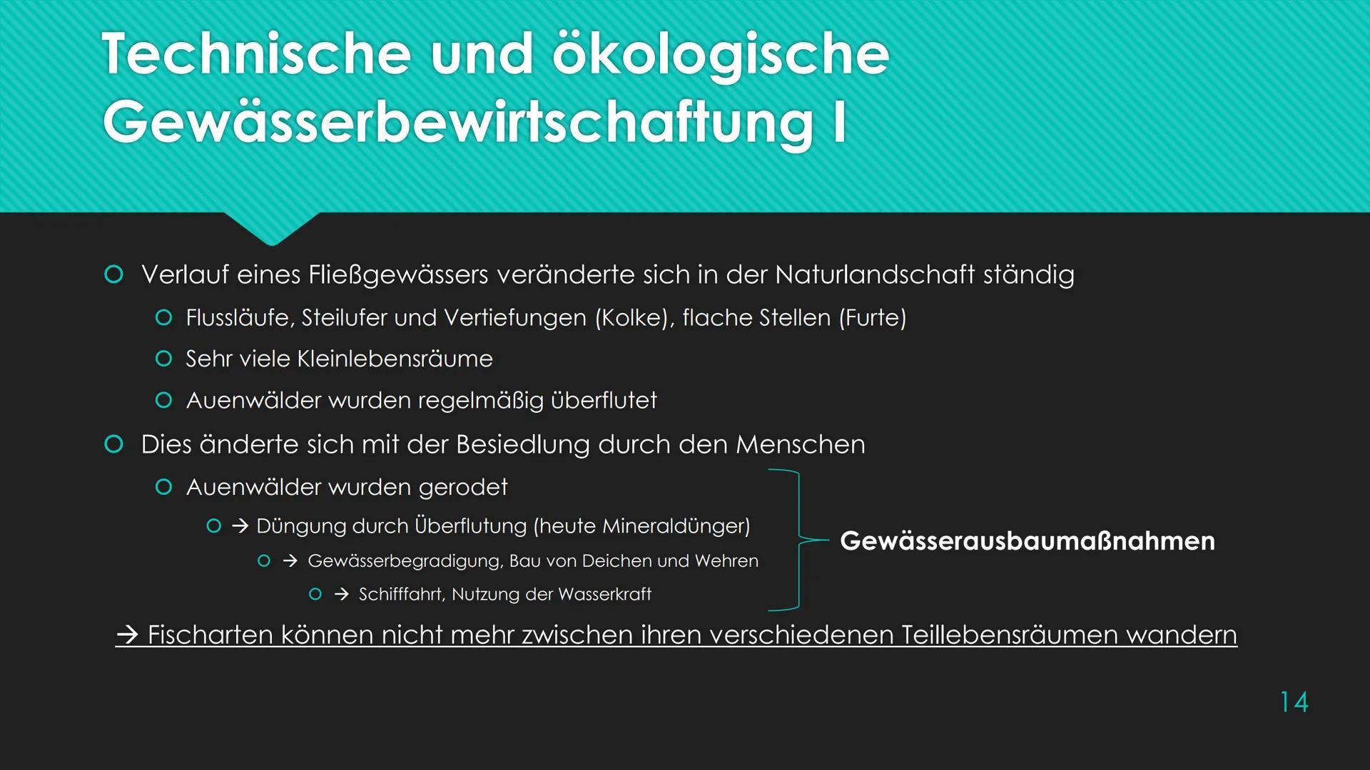 Ökosystem Fließgewässer
Schunk, Nele
23.06.2020 Nele Schunk
●
Gliederung eines Fließgewässers:
Abschnitte bezeichnet man nach Leitfischarten