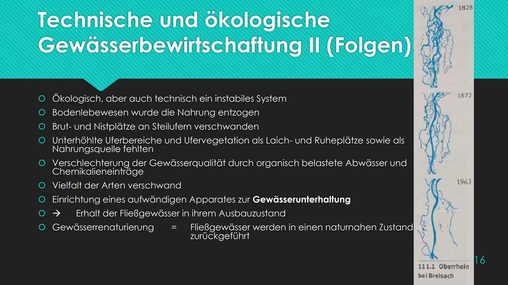 Ökosystem Fließgewässer
Schunk, Nele
23.06.2020 Nele Schunk
●
Gliederung eines Fließgewässers:
Abschnitte bezeichnet man nach Leitfischarten