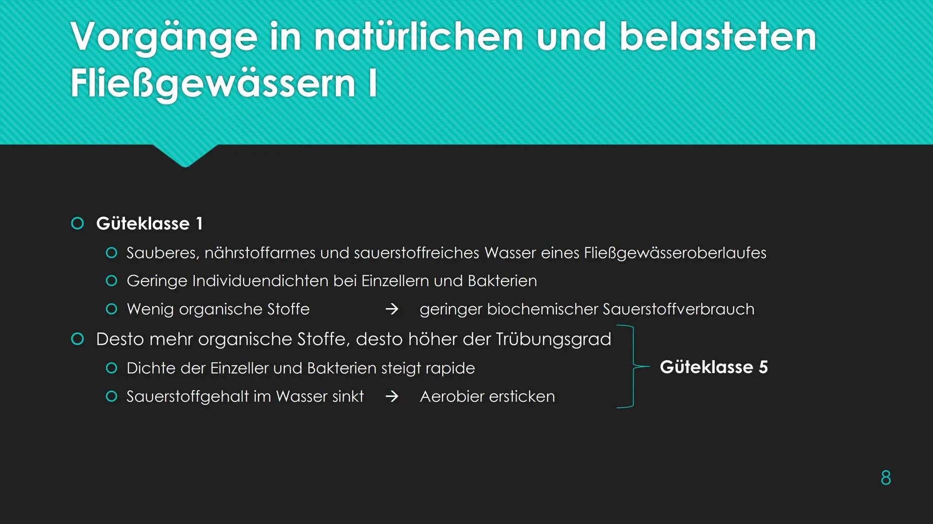 Ökosystem Fließgewässer
Schunk, Nele
23.06.2020 Nele Schunk
●
Gliederung eines Fließgewässers:
Abschnitte bezeichnet man nach Leitfischarten