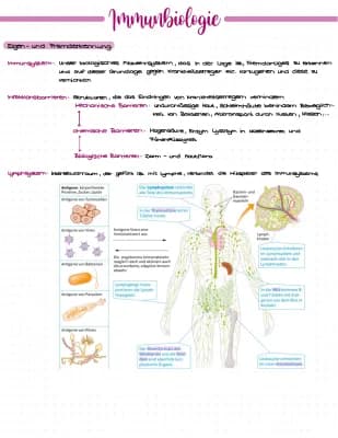 Know Immunbiologie, Immunsystem Zusammenfassung Abitur thumbnail
