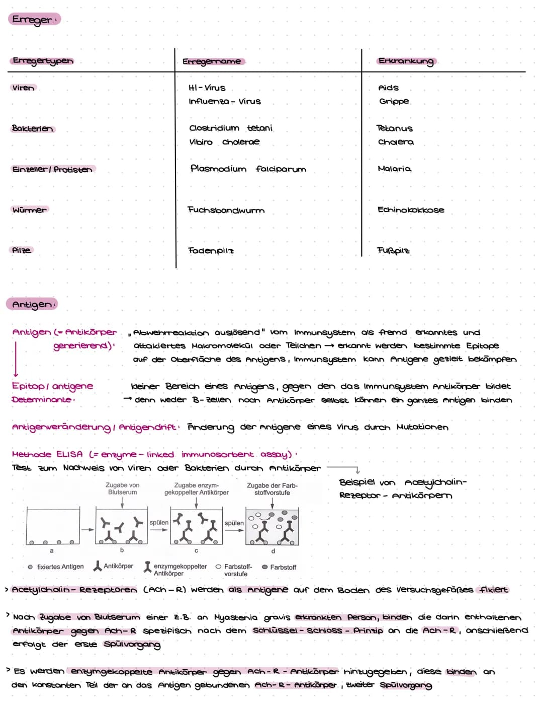 Immunbiologie
Immunsystem Unser biologisches Abwehrsystem, das in der Lage ist, Fremdartiges zu erkennen.
und auf dieser Grundlage gegen Kra