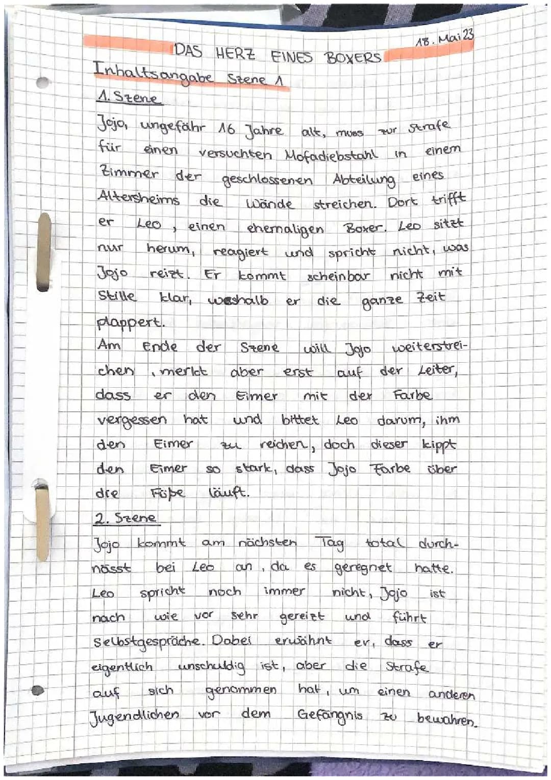 Das Herz eines Boxers - Zusammenfassungen und Lösungen