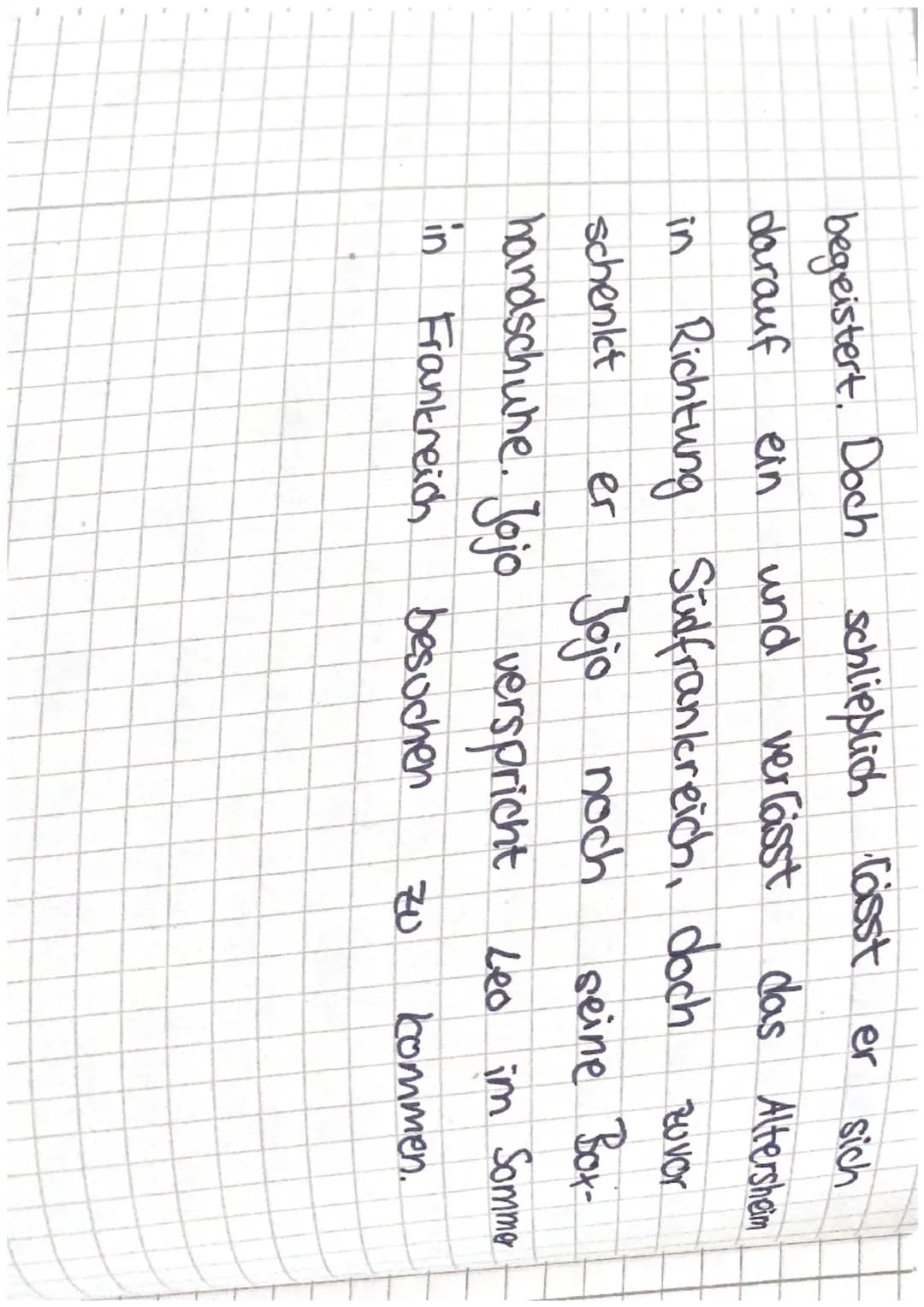 Inhaltsangabe Szene 1
1. Szene
Jojo, ungefähr 16 Jahre alt, muss
für
einen
er
DAS HERZ EINES BOXERS
Zimmer der
Altersheims
Leo
nur
Jojo
Stil