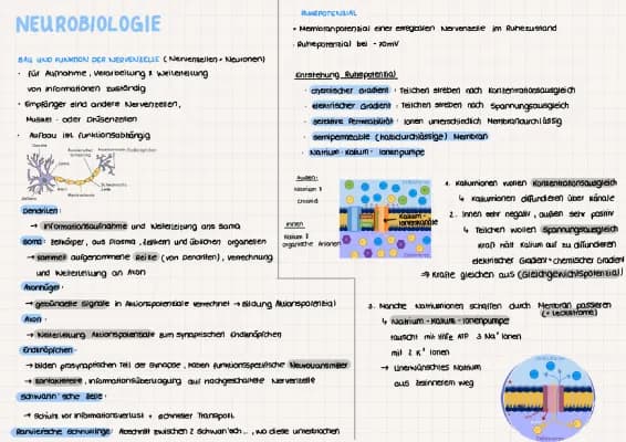 Know Neurobiologie  thumbnail