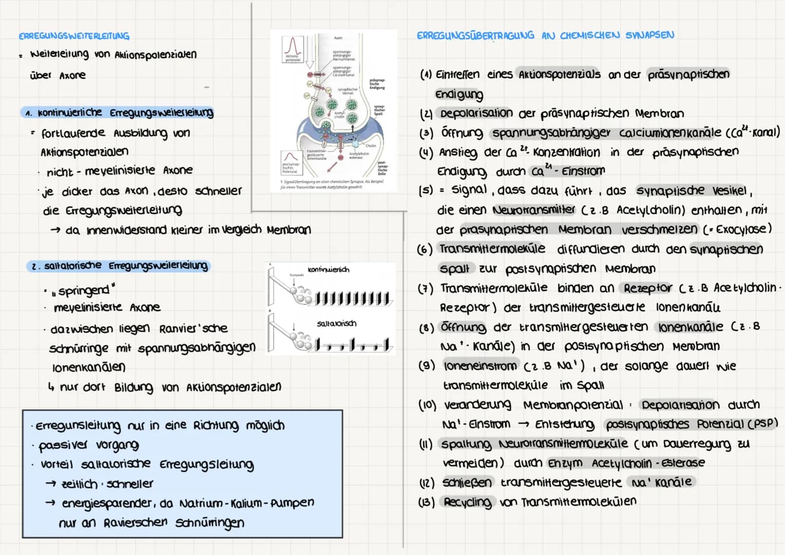 NEUROBIOLOGIE
BAU UND FUNKTION DER NERVENZELLE (Nervenzellen - Neuronen)
für Aufnahme, verarbeitung & weiterleitung
von Informationen zustän
