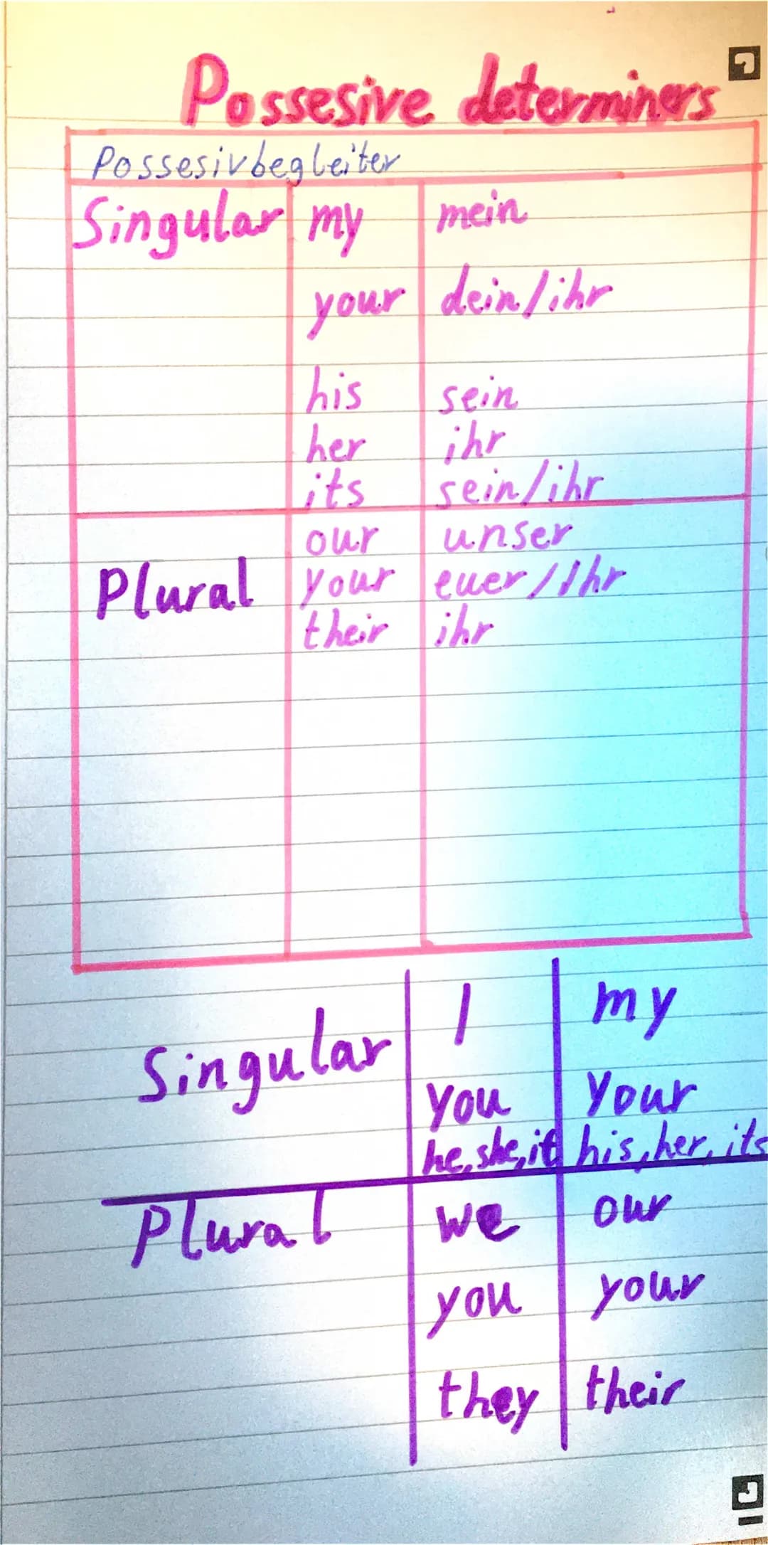  Possessivbegleiter 