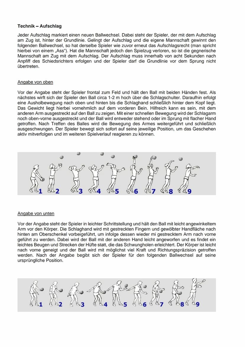 Die folgenden Seiten dienen dem Veranschaulichen der sporttheoretischen Merkmale einer
sauberen Volleyball Technik im oberen beziehungsweise