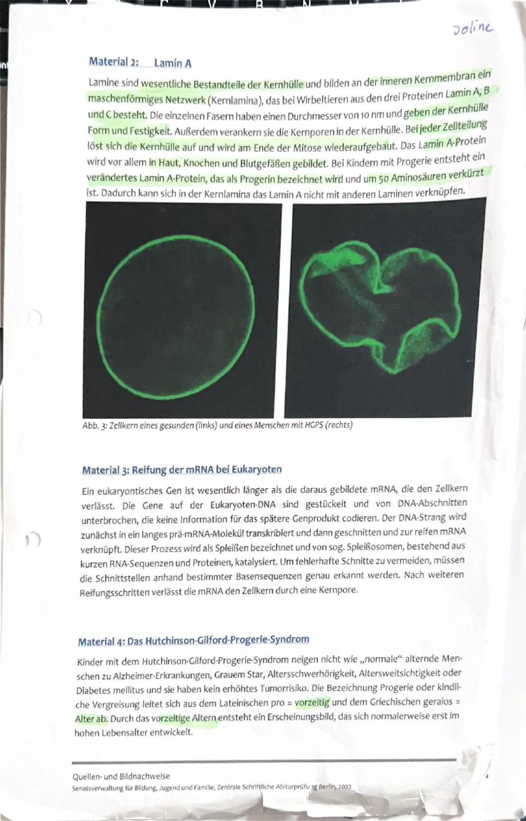 # Gutachten
für Joline Bahnisch
2. Klausur 2025, Leistungskurs Biologie

Kurs-/Schulhalbjahr: 3. Kurs/ Schulhalbjahr
Kursleitung: Stefanie H