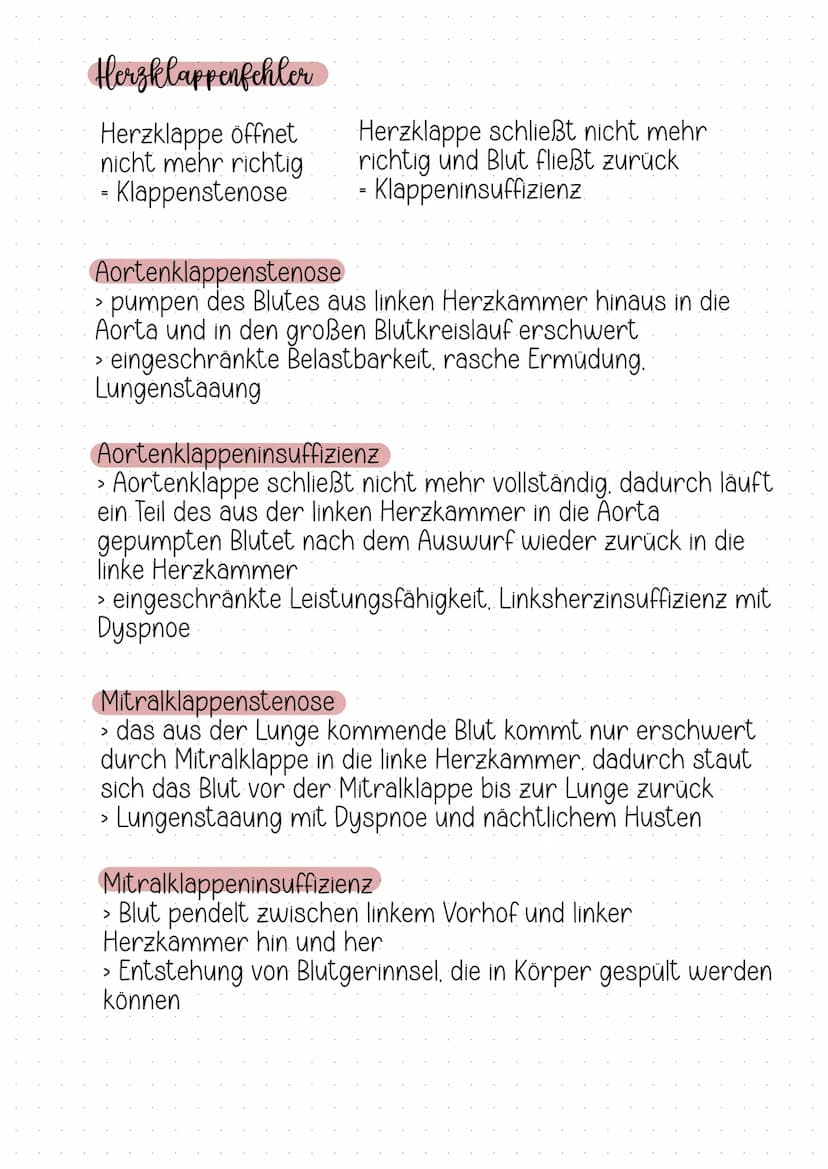 Herz-Kreislauf- System
+
Aufgaben des kardiovaskularen Systems.
Transport von Sauerstoff Nährstoffen
zu den Zellen
Grösse
Faustgross
Abtrans