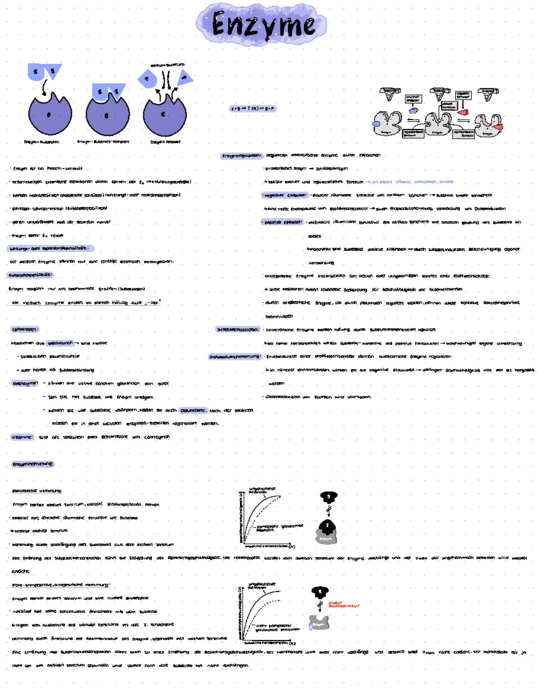 Enzyme
