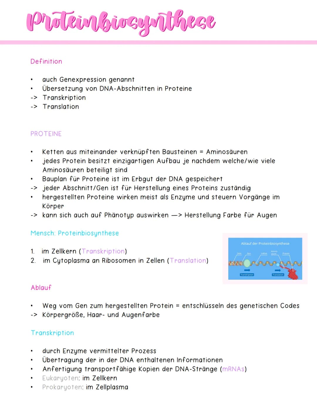 Rekombination
Definition
Neuverteilung der Erbinformation in Zellen
Umverteilungsvorgänge während Meiose
Austausch bereits vorhandener Allel