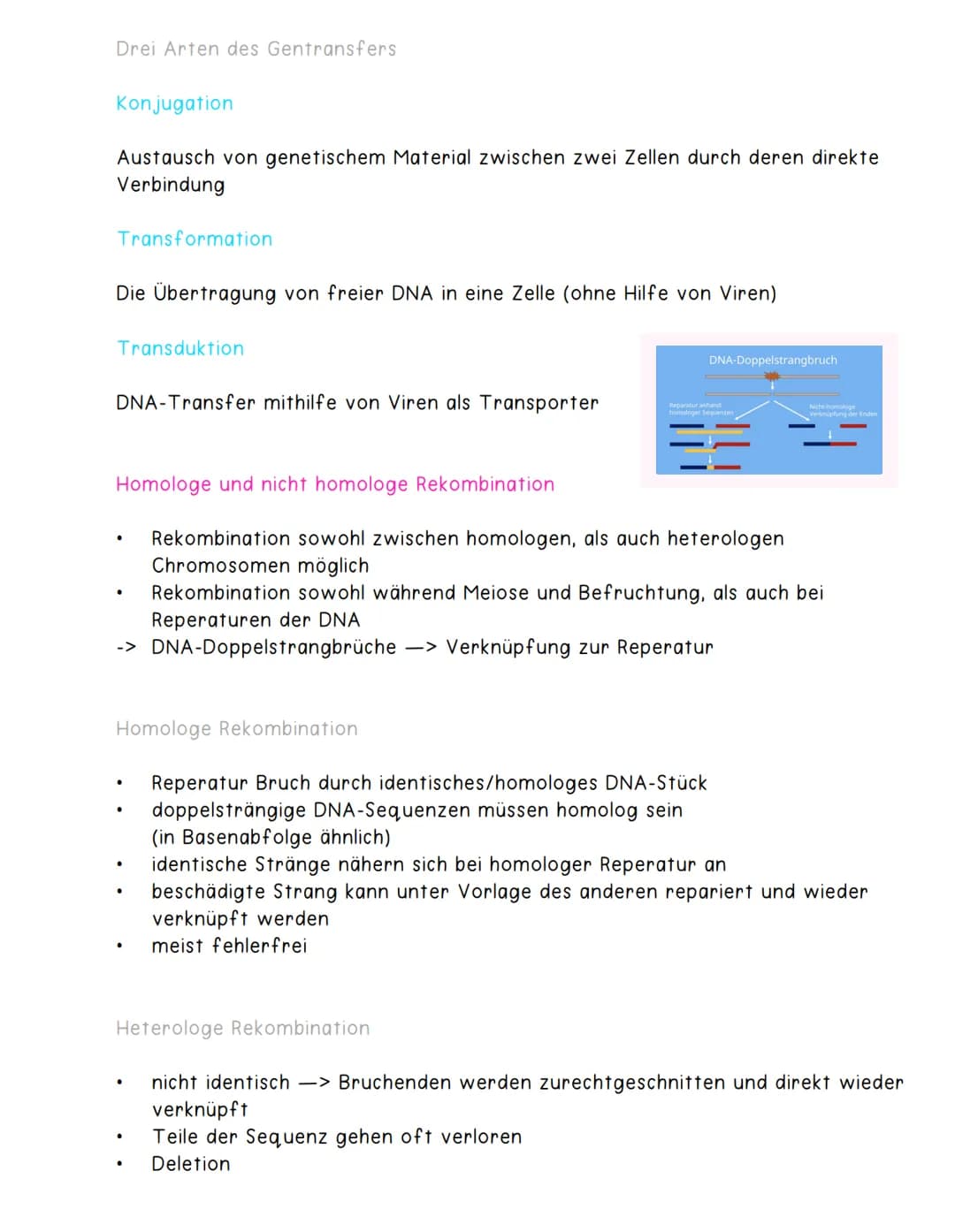 Rekombination
Definition
Neuverteilung der Erbinformation in Zellen
Umverteilungsvorgänge während Meiose
Austausch bereits vorhandener Allel