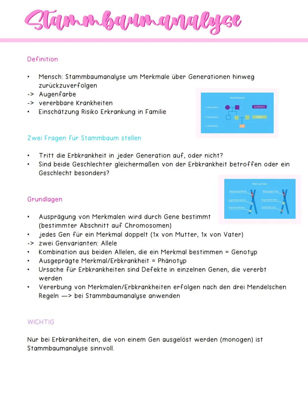 Rekombination
Definition
Neuverteilung der Erbinformation in Zellen
Umverteilungsvorgänge während Meiose
Austausch bereits vorhandener Allel