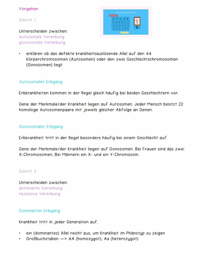 Rekombination
Definition
Neuverteilung der Erbinformation in Zellen
Umverteilungsvorgänge während Meiose
Austausch bereits vorhandener Allel