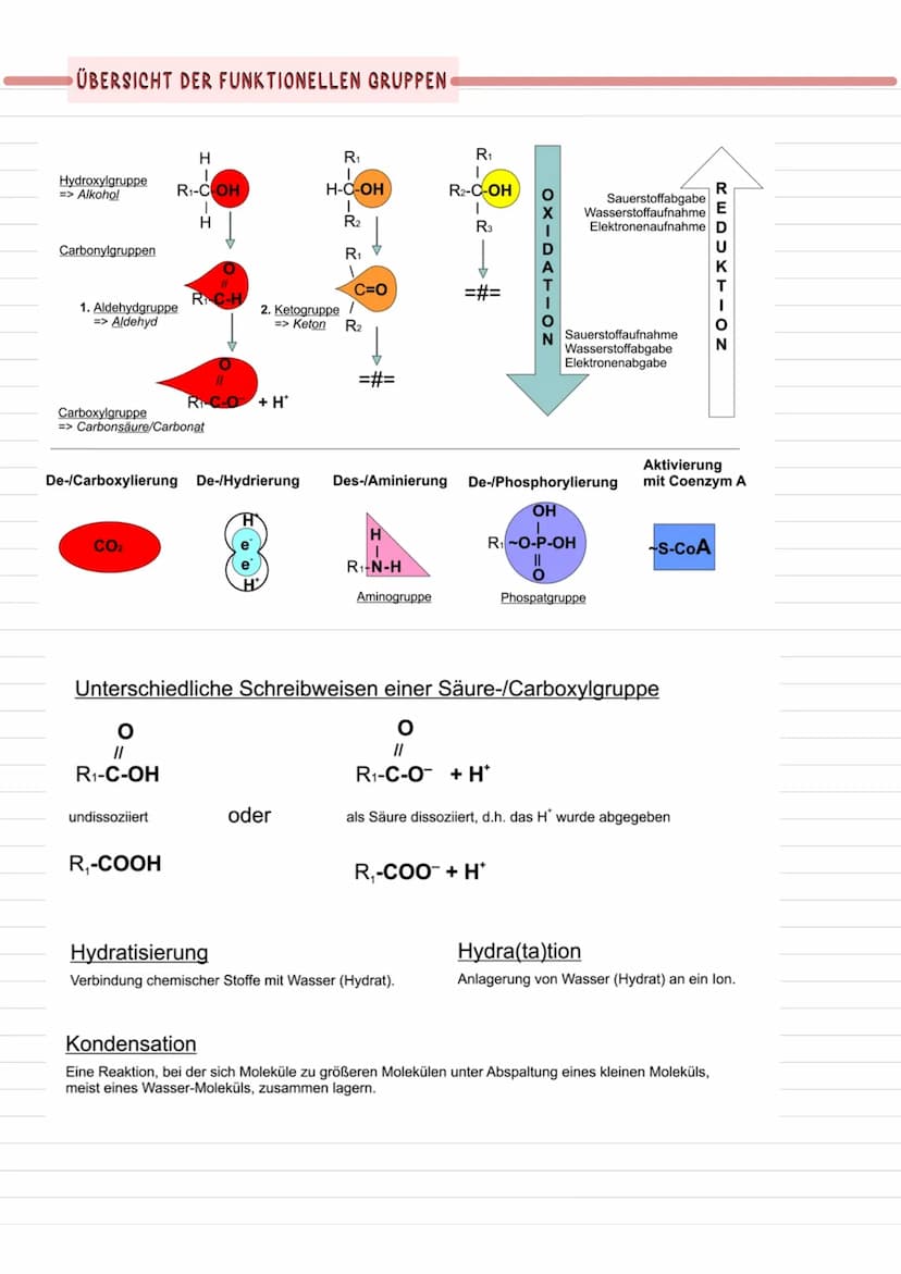 ZELLATMUNG
Umwandlung energiereicher Stoff in energie ärmere, bei der Energie in Form
von Wärme freigesetzt wird - Dissimilation
Laner bei K