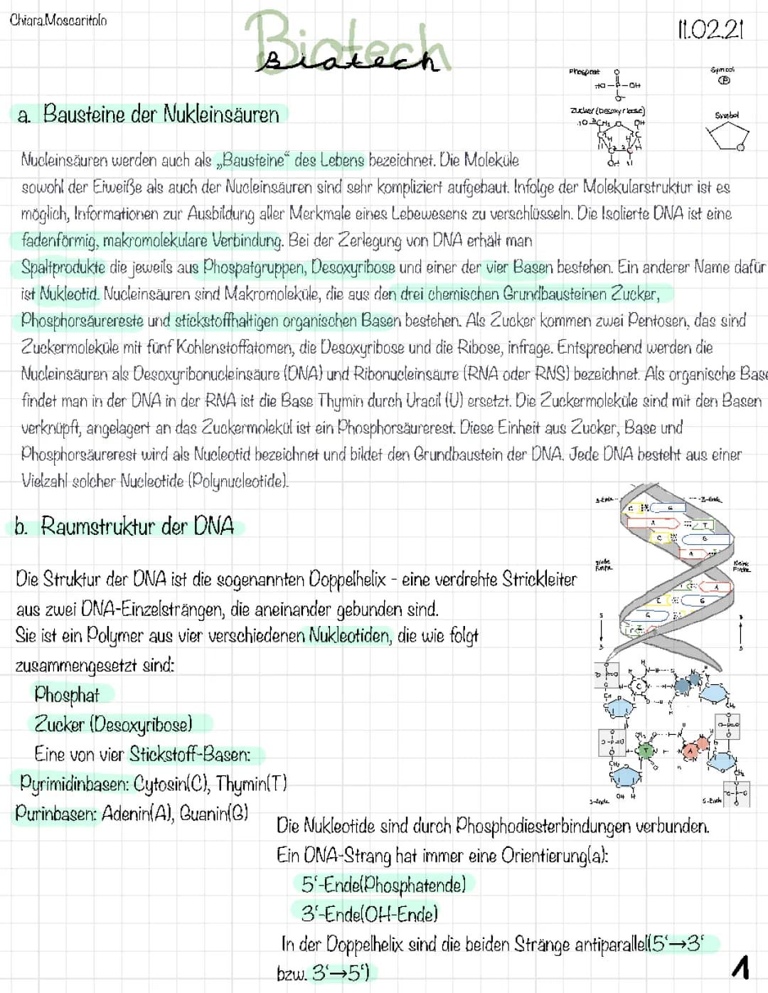 Bausteine der Nukleinsäure/Raumstruktur der DNA