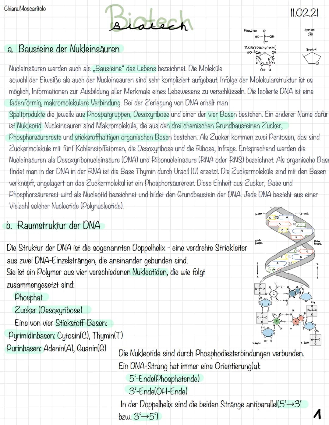 Chiara Moscaritolo
Biatech
a. Bausteine der Nukleinsäuren
OH H
Nucleinsäuren werden auch als „Bausteine" des Lebens bezeichnet. Die Moleküle