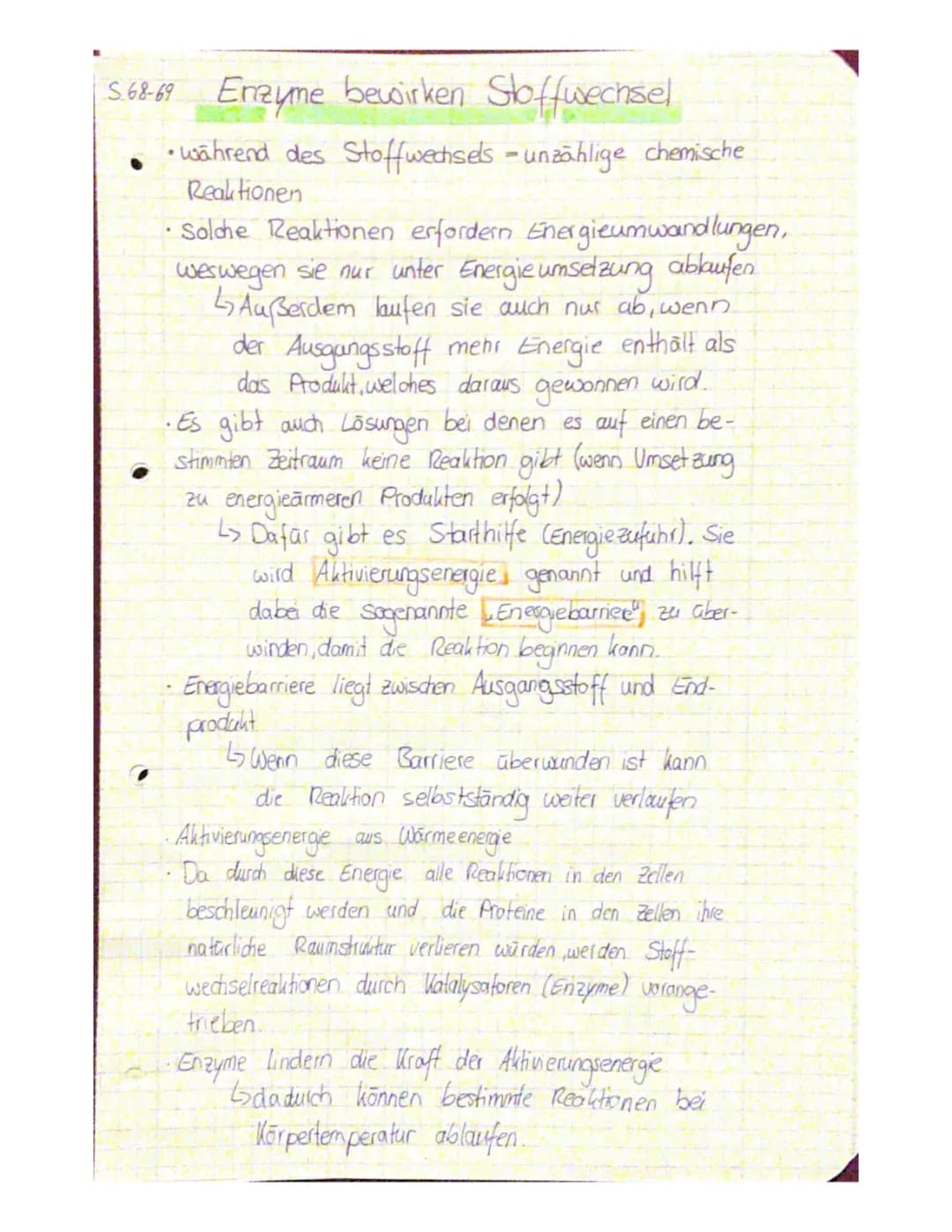 Enzyme einfach erklärt: Funktion, Beispiele und das Schlüssel-Schloss-Prinzip