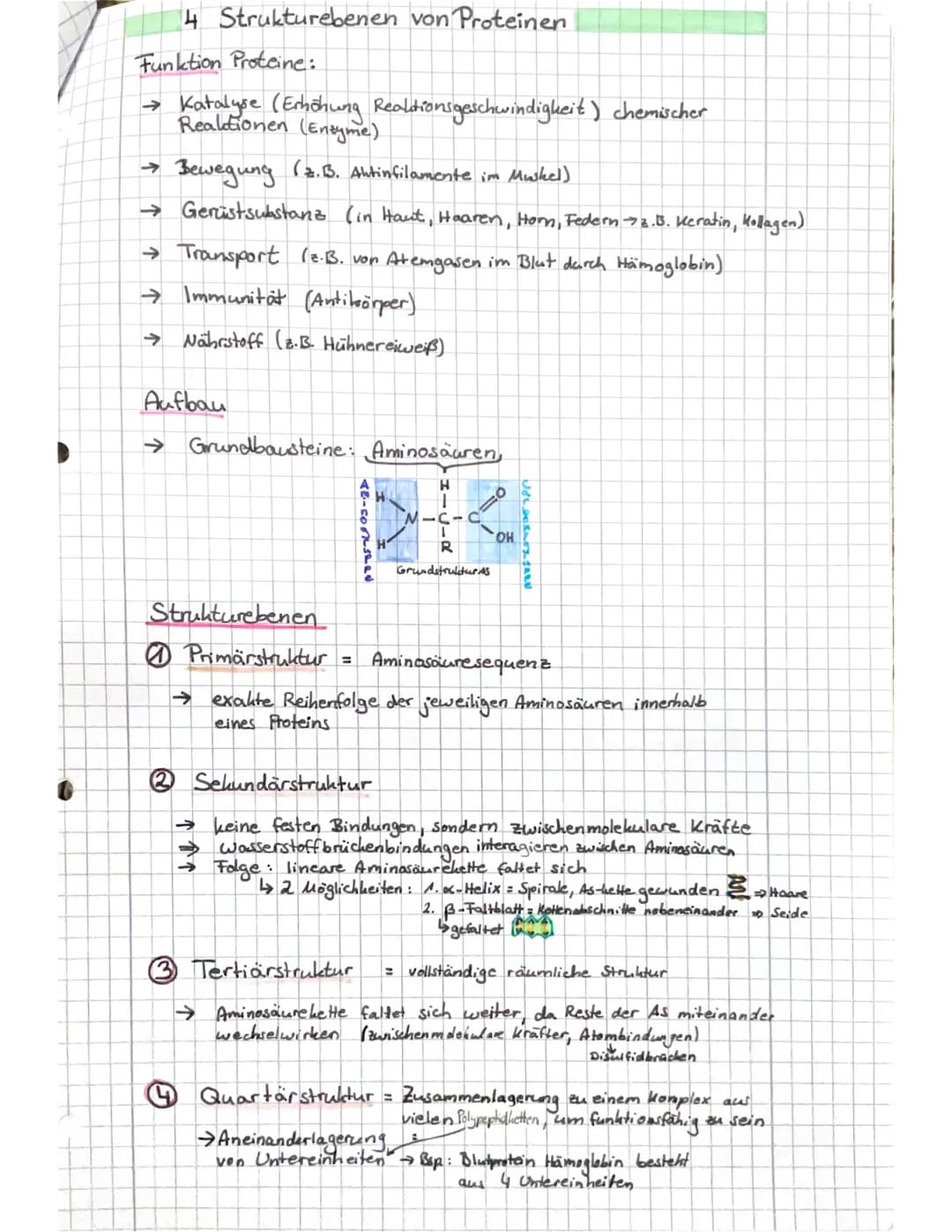 Q1.1
Von der DNA zum Protein
Aufbau der DUA → Watson - Crick-Modell
s' Ende
10-1.
8=Q10
707
Doppelhelix
OFO
O
OH
1
H₂C
HAMD
leth Nucleata
OH