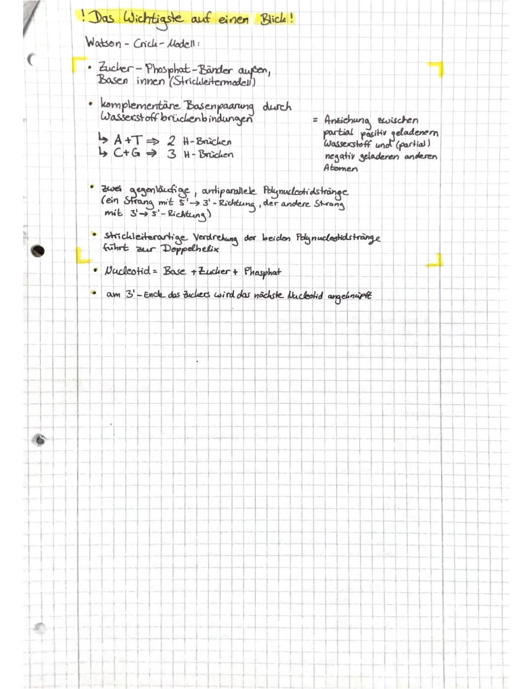 Q1.1
Von der DNA zum Protein
Aufbau der DUA → Watson - Crick-Modell
s' Ende
10-1.
8=Q10
707
Doppelhelix
OFO
O
OH
1
H₂C
HAMD
leth Nucleata
OH
