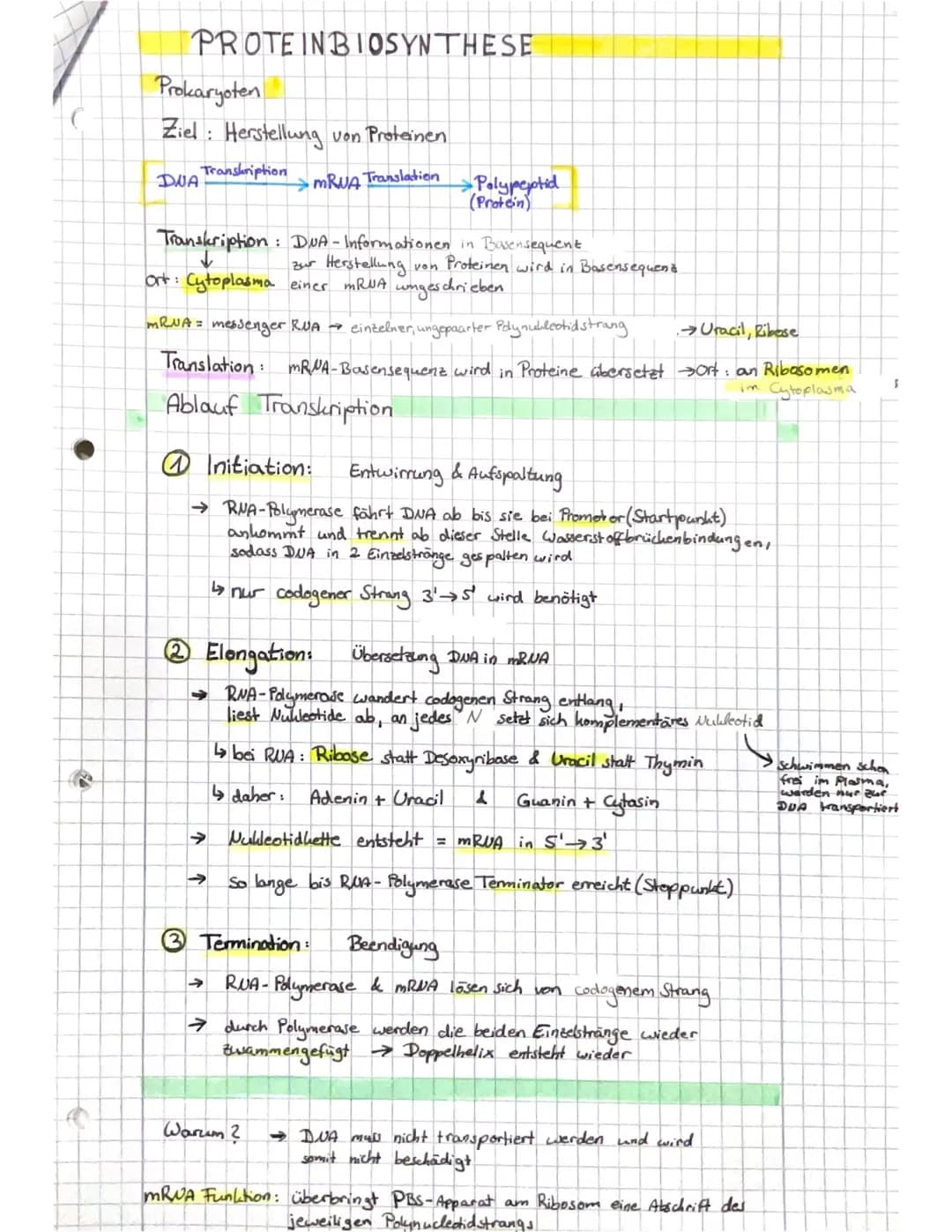 Q1.1
Von der DNA zum Protein
Aufbau der DUA → Watson - Crick-Modell
s' Ende
10-1.
8=Q10
707
Doppelhelix
OFO
O
OH
1
H₂C
HAMD
leth Nucleata
OH