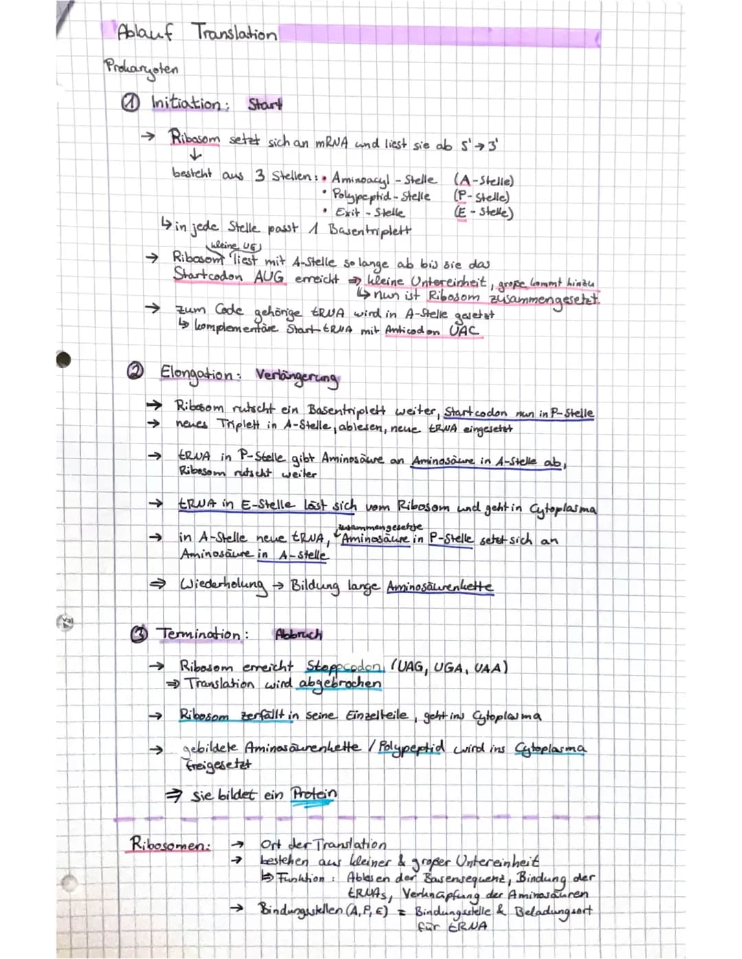 Q1.1
Von der DNA zum Protein
Aufbau der DUA → Watson - Crick-Modell
s' Ende
10-1.
8=Q10
707
Doppelhelix
OFO
O
OH
1
H₂C
HAMD
leth Nucleata
OH