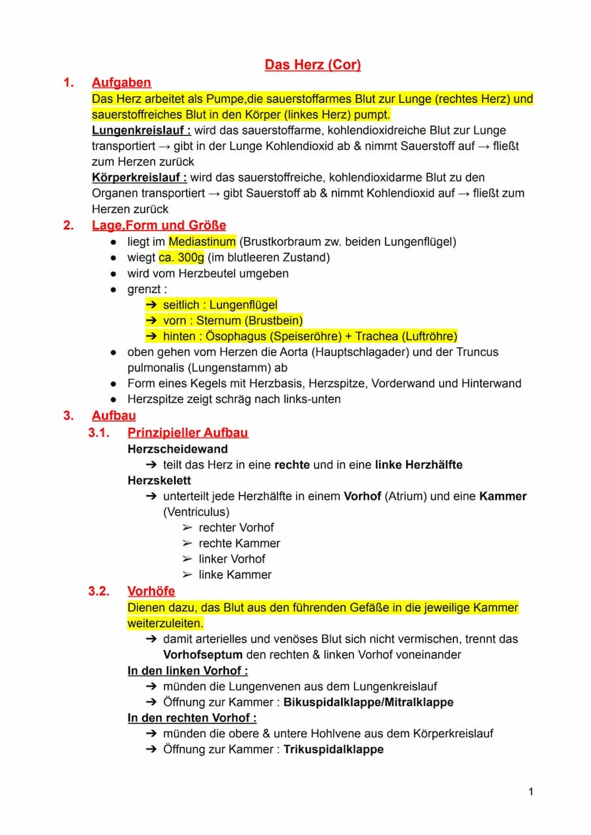 1.
Aufgaben
2. Lage, Form und Größe
3.
Aufbau
4.
5.
6.
7.
Inhaltsverzeichnis - Herz (Anatomie)
3.1. Prinzipieller Aufbau
3.2. Vorhöfe
3.3.
H