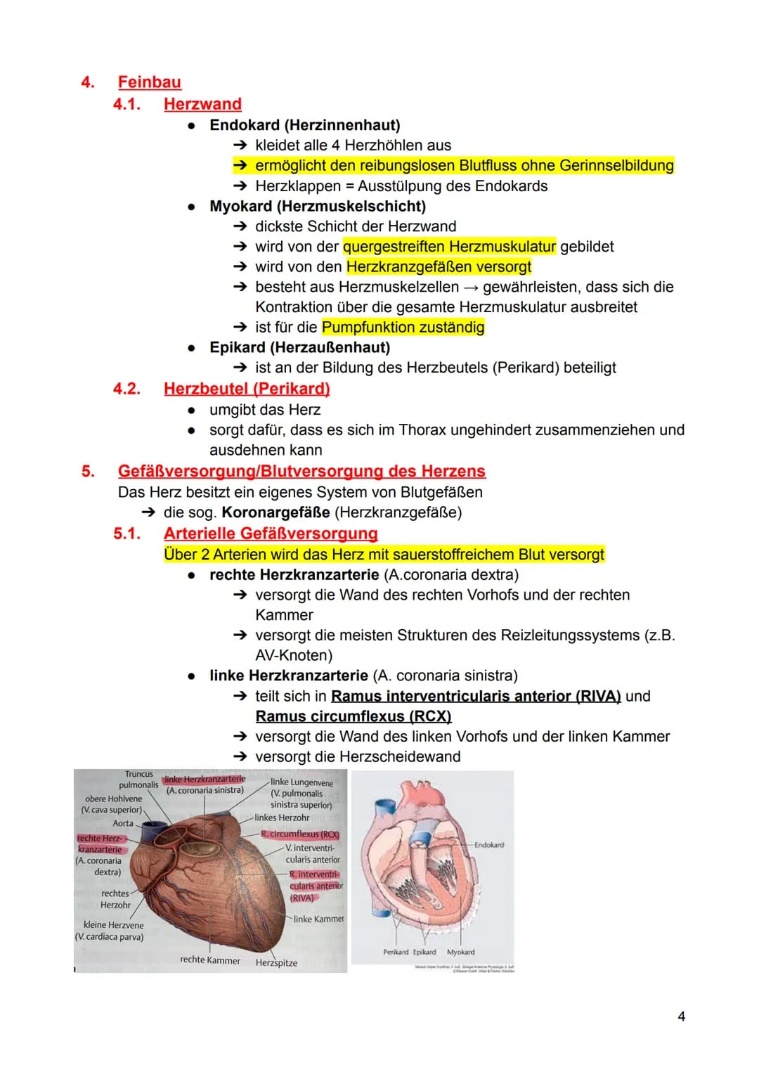 1.
Aufgaben
2. Lage, Form und Größe
3.
Aufbau
4.
5.
6.
7.
Inhaltsverzeichnis - Herz (Anatomie)
3.1. Prinzipieller Aufbau
3.2. Vorhöfe
3.3.
H