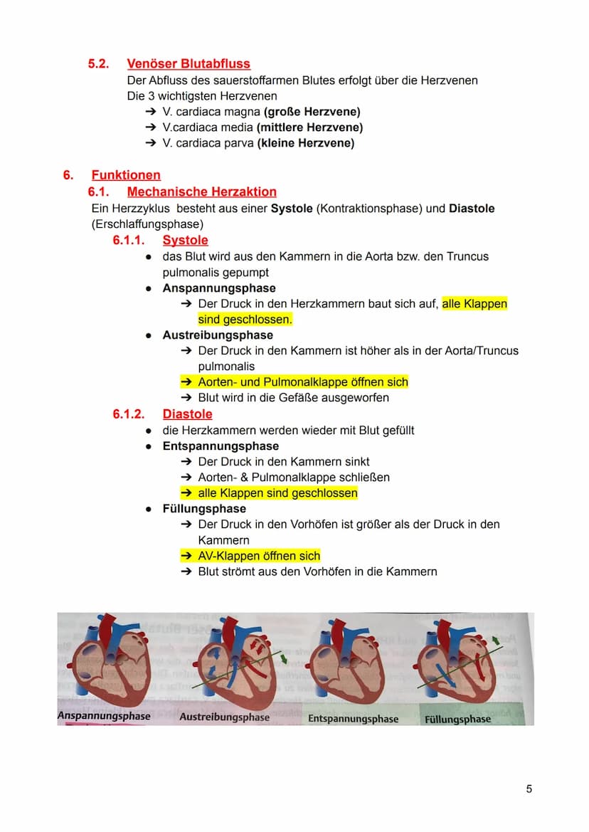 1.
Aufgaben
2. Lage, Form und Größe
3.
Aufbau
4.
5.
6.
7.
Inhaltsverzeichnis - Herz (Anatomie)
3.1. Prinzipieller Aufbau
3.2. Vorhöfe
3.3.
H
