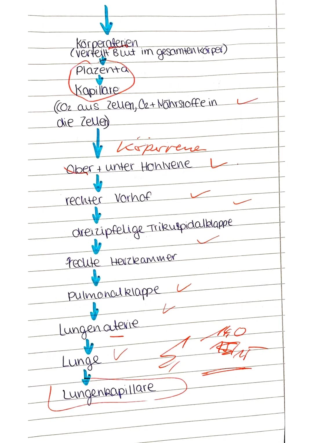 Definition Definition,
Definition. Ente
Prognose
Wenn
möglich
vermutlich
-
Membranose & Ventrikel septum-
Membran att
operen Tellisen)
Perim