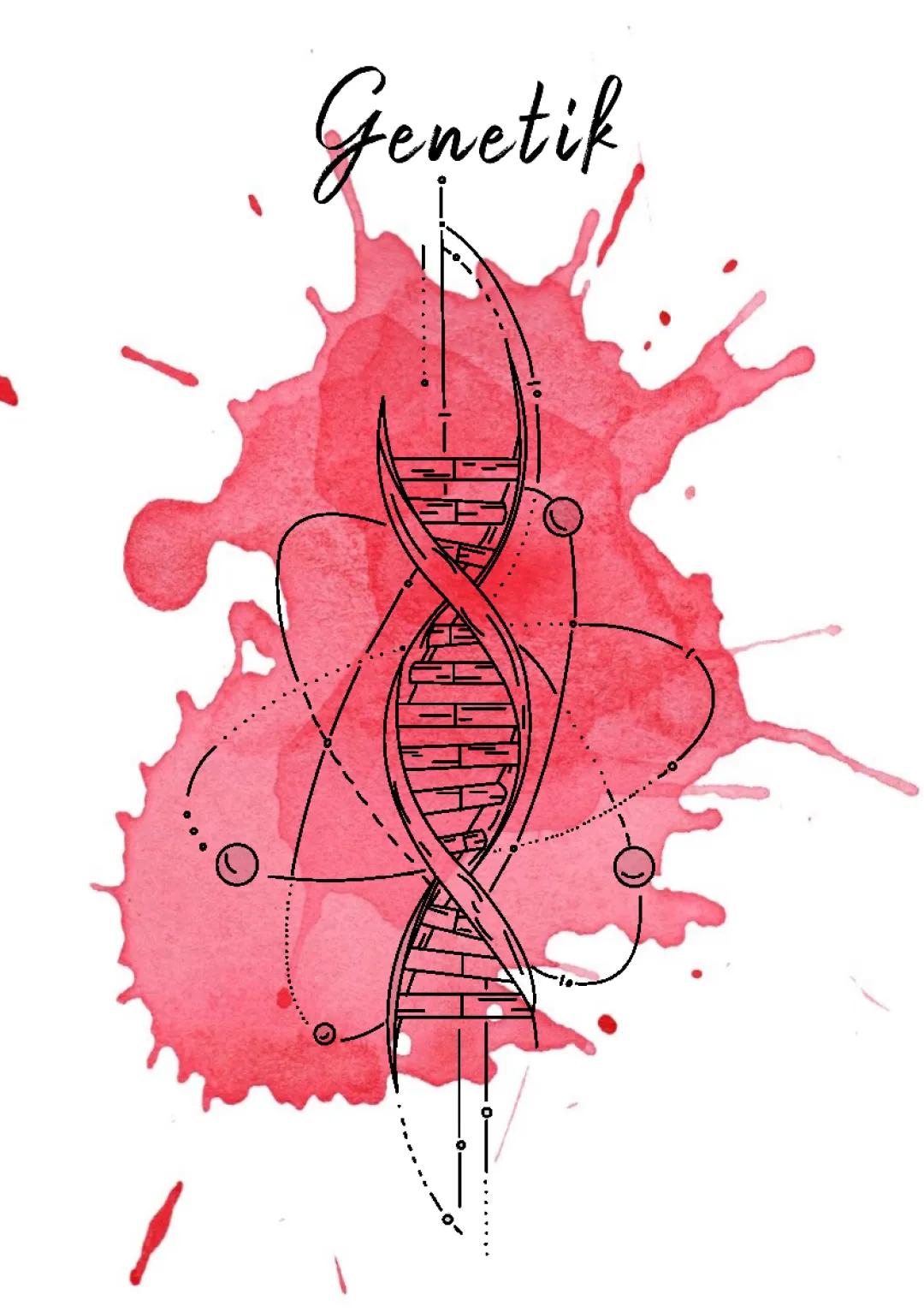 Genregulation bei Eukaryoten einfach erklärt - Arbeitsblätter, Mindmaps und mehr!