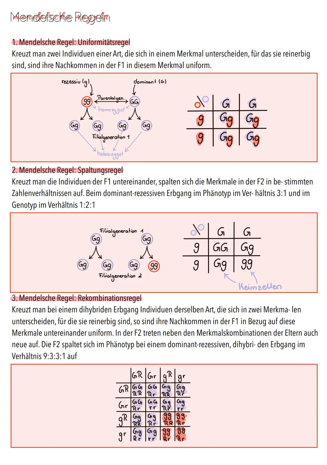 Genetik Chromosomen
Chromosome sind eine hoch kondensierte
Form der DNA. Man findet sie nur bei
Organismen mit einem echten Zellkern,
also b