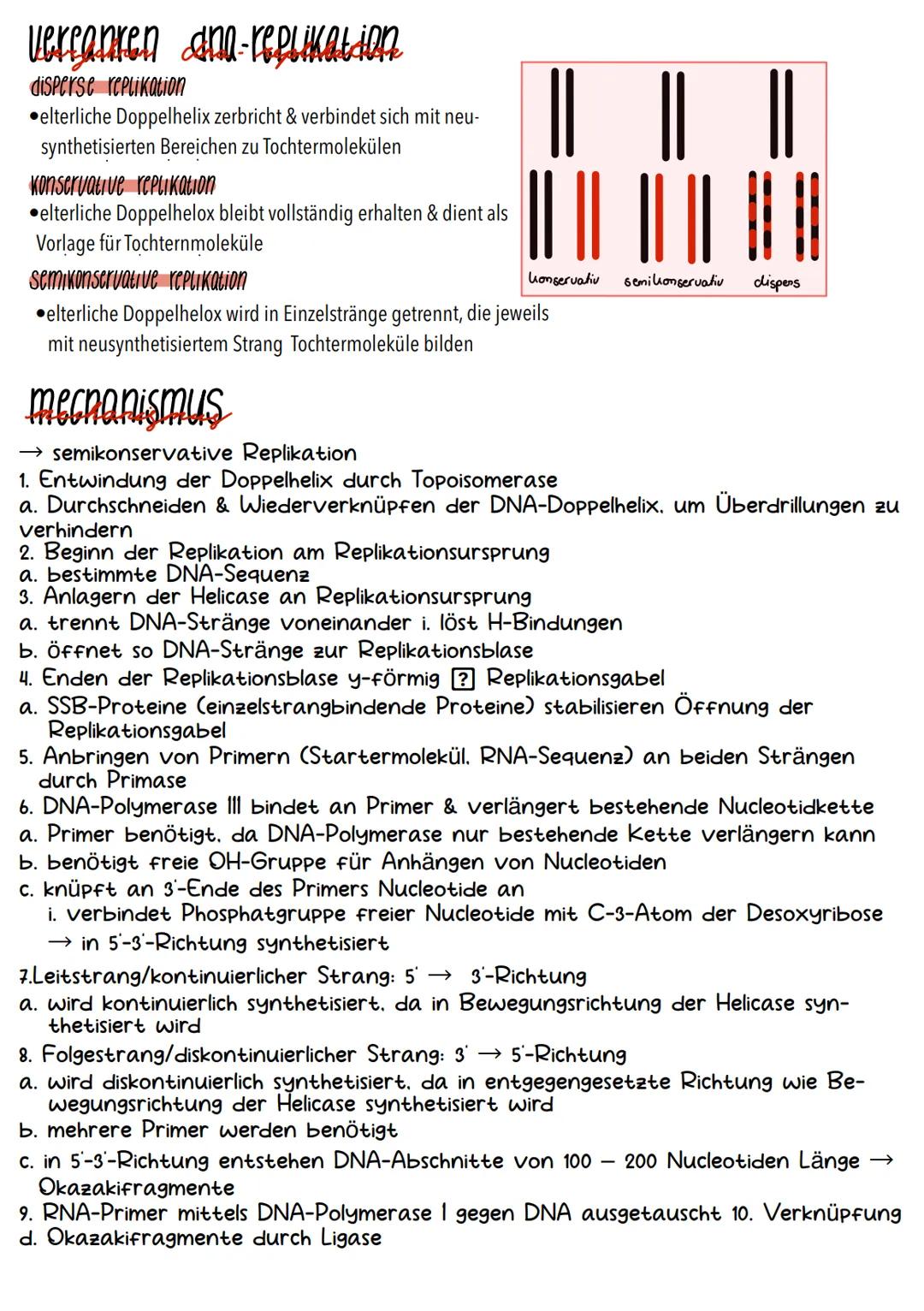 Genetik Chromosomen
Chromosome sind eine hoch kondensierte
Form der DNA. Man findet sie nur bei
Organismen mit einem echten Zellkern,
also b