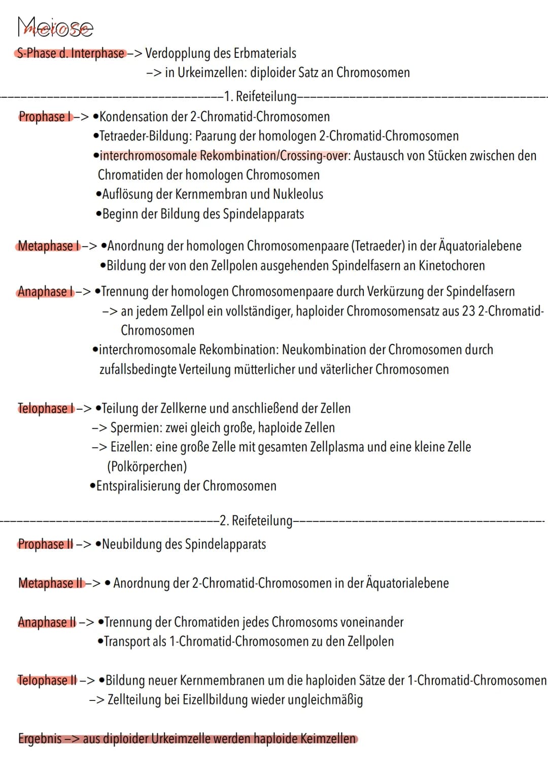 Genetik Chromosomen
Chromosome sind eine hoch kondensierte
Form der DNA. Man findet sie nur bei
Organismen mit einem echten Zellkern,
also b