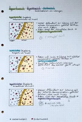 Know Hypertonisch, Hypotonisch, Isotonisch - Zell Biologie thumbnail