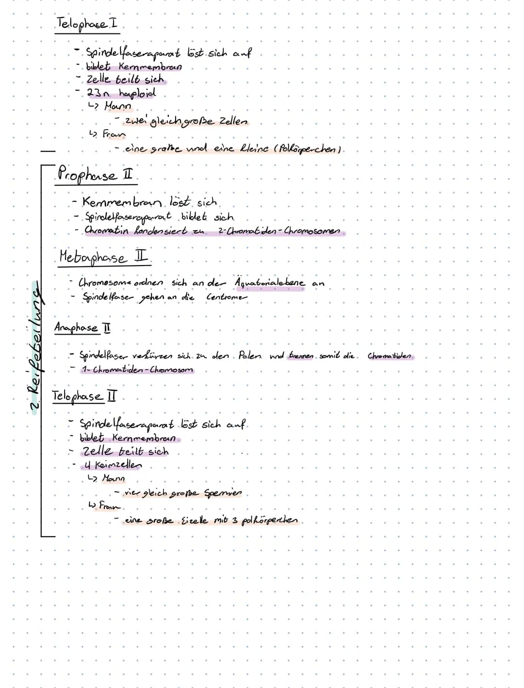 31.5.2021
Biologie - Klansur
- Mitose
Mitose
Interphase
Erbinformation wird verdoppelt
Chromatin
Mitose
L₂
G.1-. Phase.
Zellbestanteile wach