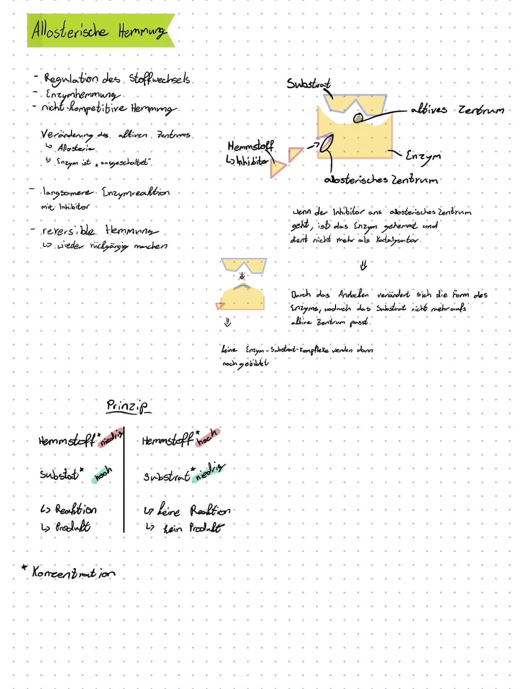 31.5.2021
Biologie - Klansur
- Mitose
Mitose
Interphase
Erbinformation wird verdoppelt
Chromatin
Mitose
L₂
G.1-. Phase.
Zellbestanteile wach