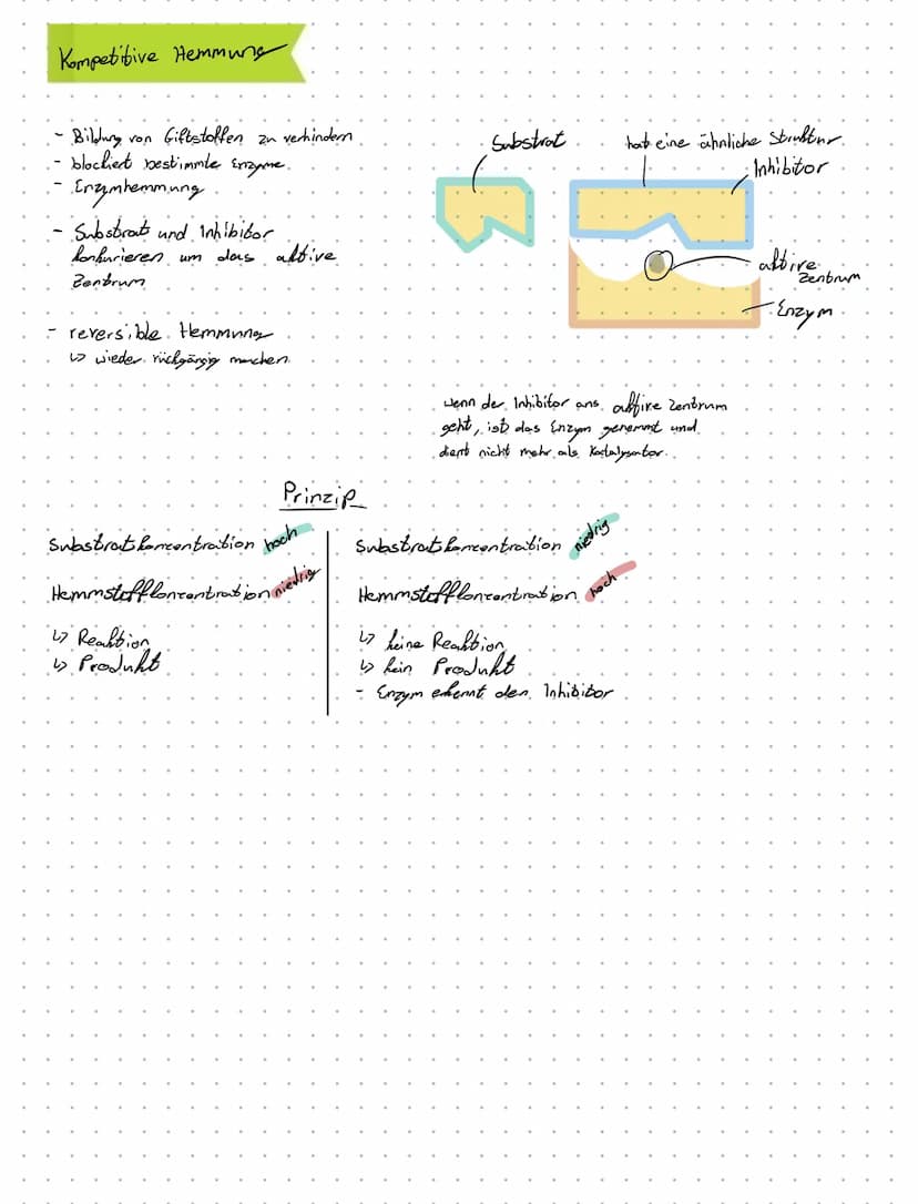 31.5.2021
Biologie - Klansur
- Mitose
Mitose
Interphase
Erbinformation wird verdoppelt
Chromatin
Mitose
L₂
G.1-. Phase.
Zellbestanteile wach