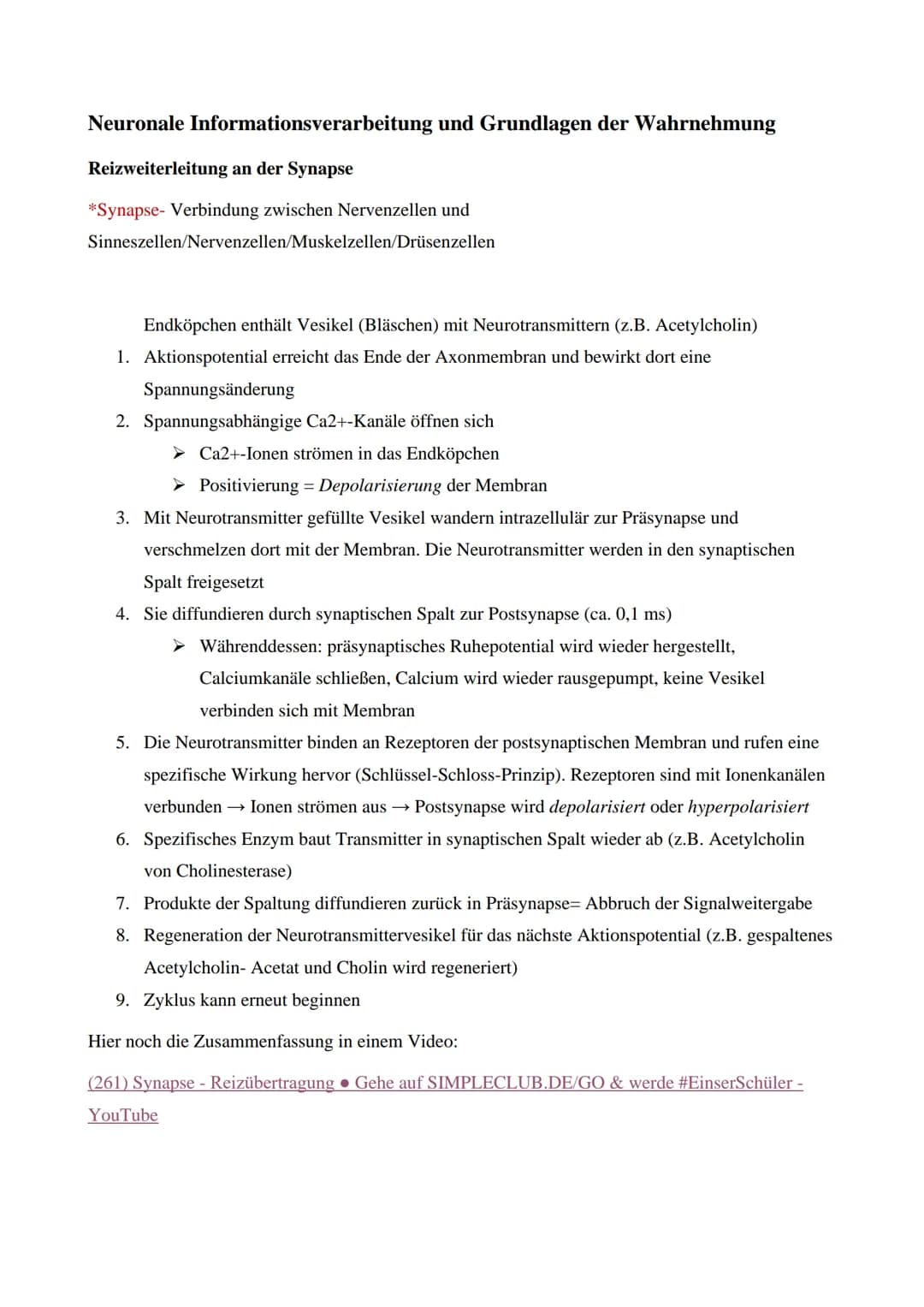 Neuronale Informationsverarbeitung und Grundlagen der Wahrnehmung
Reizweiterleitung an der Synapse
*Synapse- Verbindung zwischen Nervenzelle