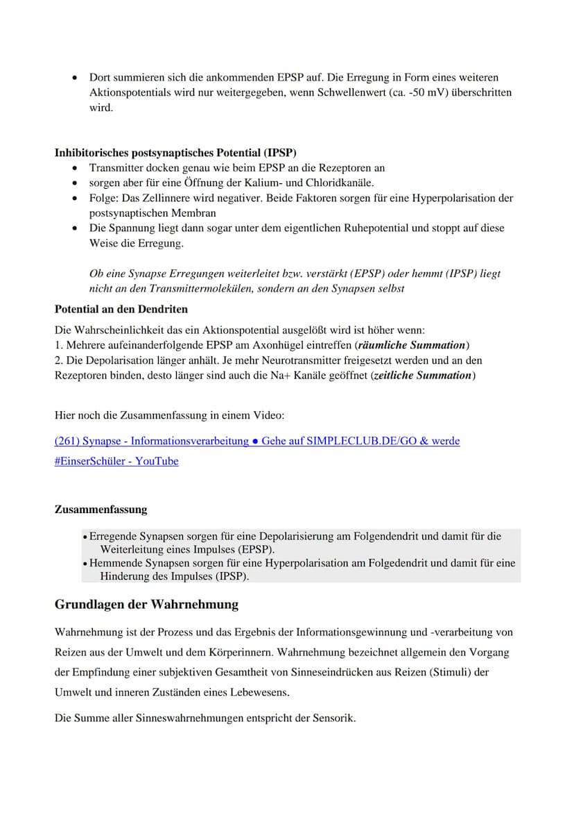 Neuronale Informationsverarbeitung und Grundlagen der Wahrnehmung
Reizweiterleitung an der Synapse
*Synapse- Verbindung zwischen Nervenzelle