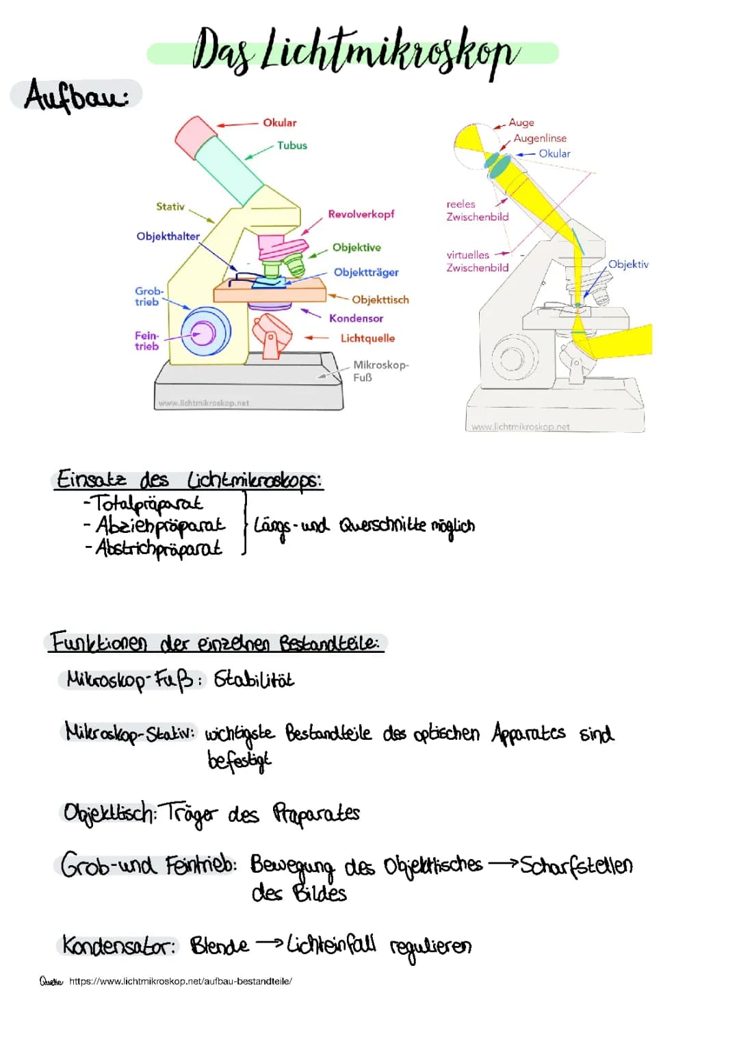 Lichtmikroskop