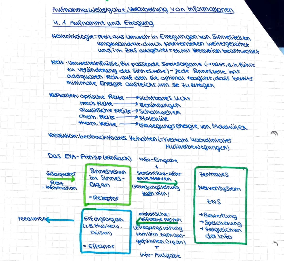 Aufnahme weitergabe Verarbeitung von Informationen
4.1 Aufnahme und Erregung
Neurobiologie Reiz aus Umwelt in Erregungen von Sinnestellen
um