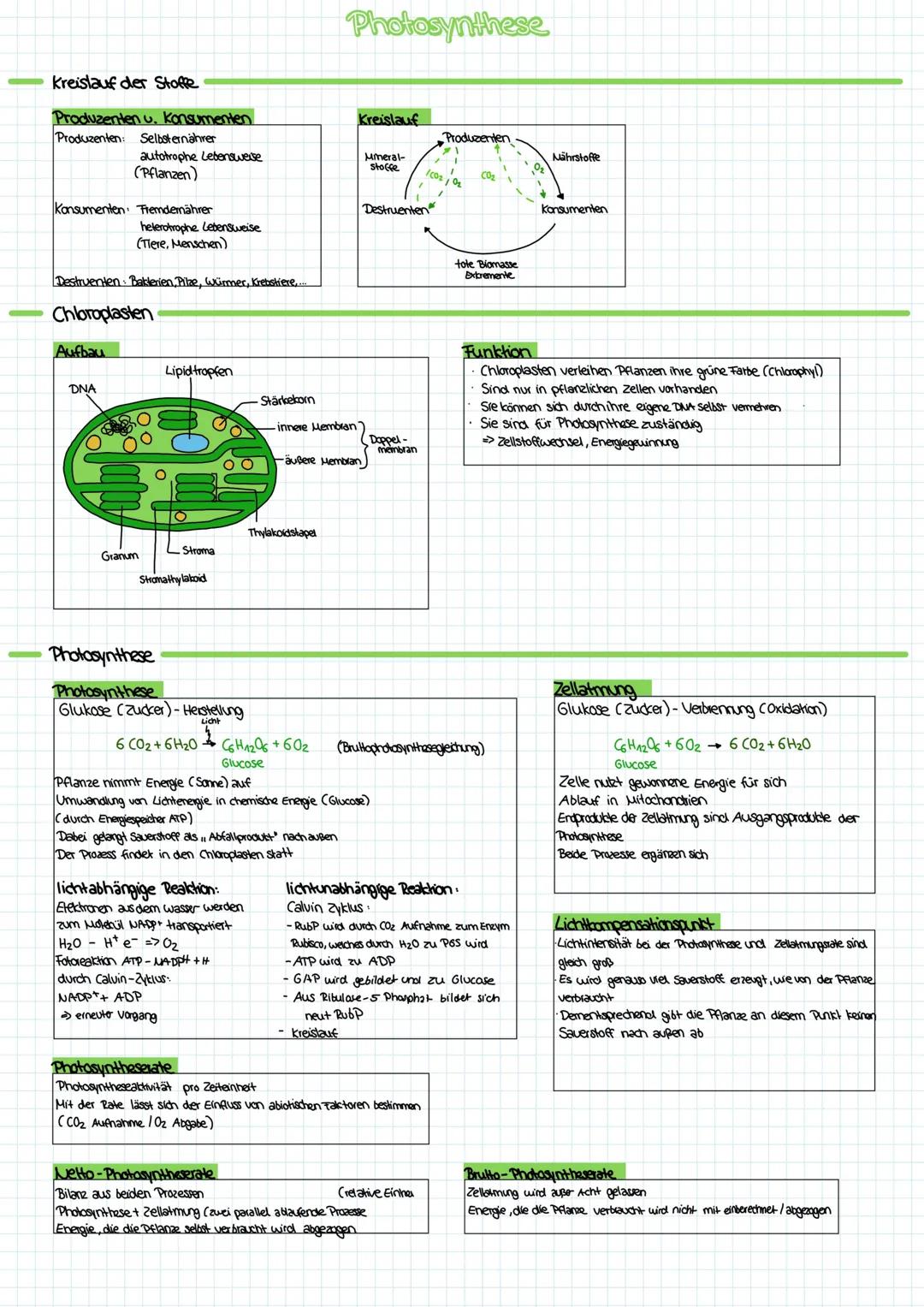 # Photosynthese

Kreislauf der Stoffe

Produzenten u. Konsumenten

Produzenten: Selbsternährer
autotrophe Lebensweise
(Pflanzen)

Konsumente